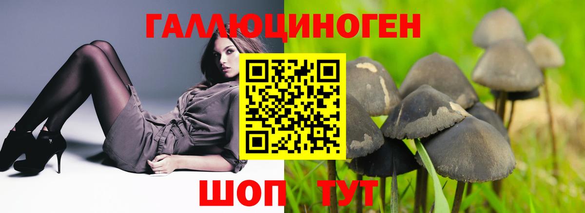 Галлюциногенные грибы мухоморы  Вход с VPN  Галлюциногенные грибы ЛСД  Ангарск 